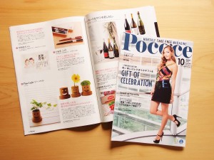 Poco'ce [ポコチェ] 2015.10 夫婦箸 こごり