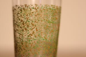 津軽塗 さわるツガルヌリ【タンブラー(300ml)】きいろ
