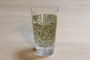 津軽塗 さわるツガルヌリ【タンブラー(300ml)】きいろ