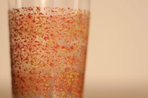 津軽塗 さわるツガルヌリ【タンブラー(300ml)】おれんじ