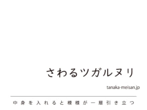 津軽塗 さわるツガルヌリ【タンブラー(300ml)】おれんじ