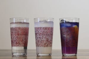 津軽塗 さわるツガルヌリ【タンブラー(300ml)】むらさき