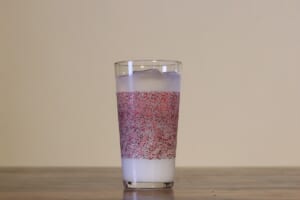 津軽塗 さわるツガルヌリ【タンブラー(300ml)】むらさき